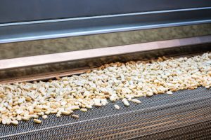 The Critical Role Peanut Conveyors Play in Efficient Harvesting and Processing