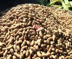 Benefits of Automated Peanut Cleaning Systems