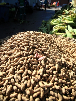 Benefits of Automated Peanut Cleaning Systems