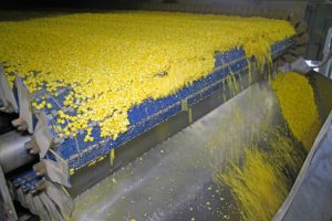 How Grain Conveyors Work