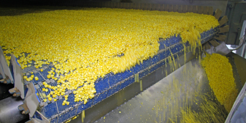 How Grain Conveyors Work
