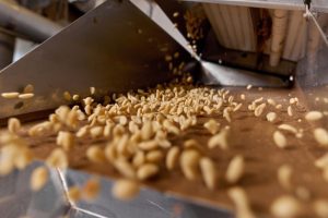 3 Situations When You Might Need Millwright Services