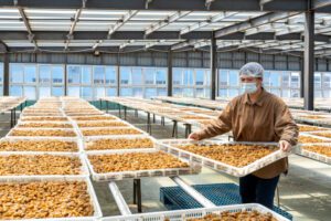 What You Need to Know About Drying Sheds