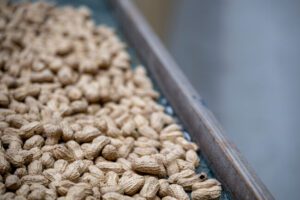 A Brief Introduction to Peanut Cleaning Systems