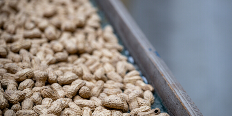 A Brief Introduction to Peanut Cleaning Systems